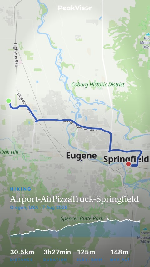 03.airport AirPizzaTruck springfield